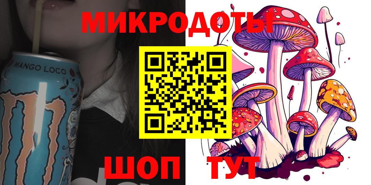 Галлюциногенные грибы Psilocybine cubensis Казань