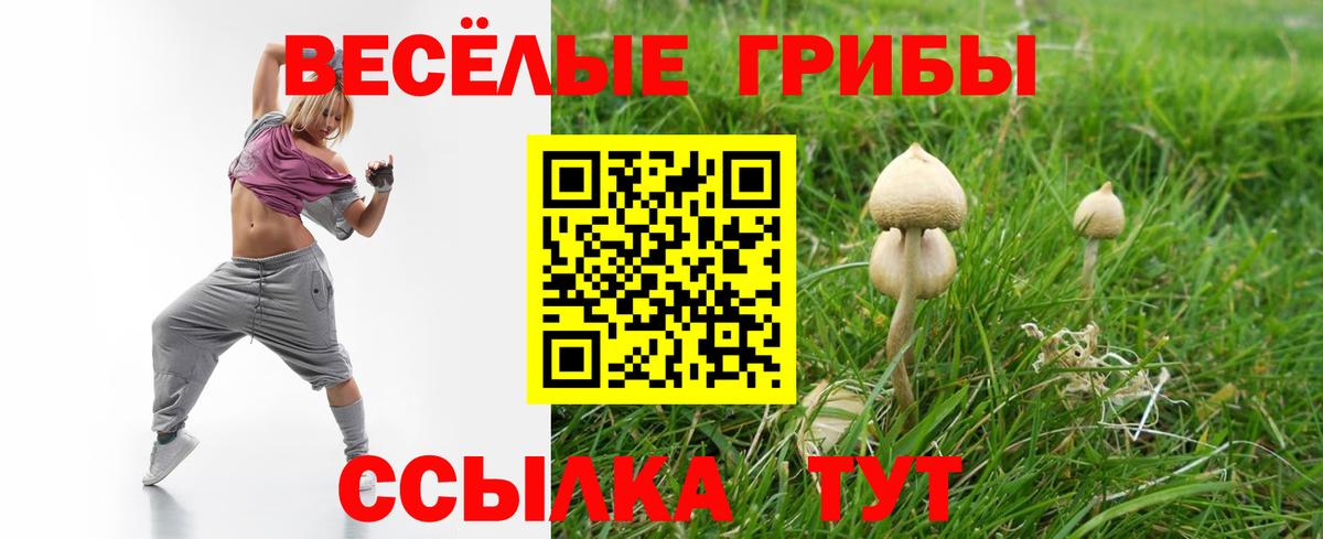 Казань  Псилоцибиновые грибы прущие грибы  где можно купить   Вход с VPN 